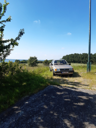 Ford-Orion_1-6l_4